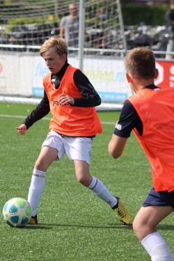 IMG 3160 (2)